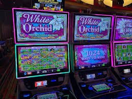 ubet1688 Cara FAQ Ini Membantu Anda